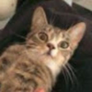 Meet your Posher, Twigg